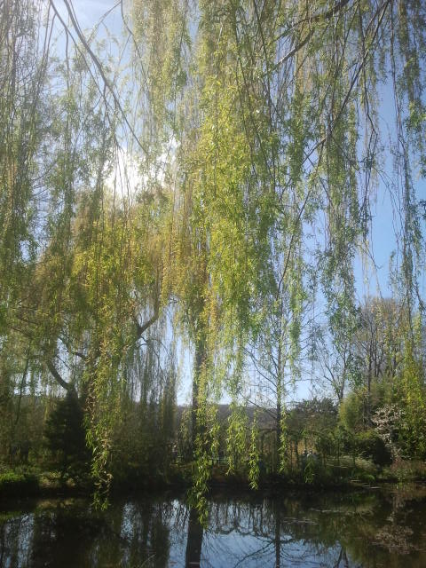 Giverny