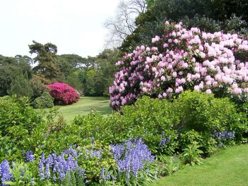 Parc du Bois des Moutiers