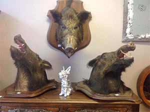 Dépôt Vente du Tréguor