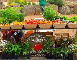 Ferme végétale de Boiséon