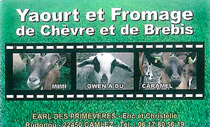 Fromagerie chèvre