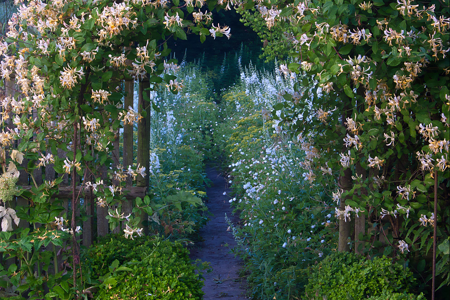 Jardin Plume