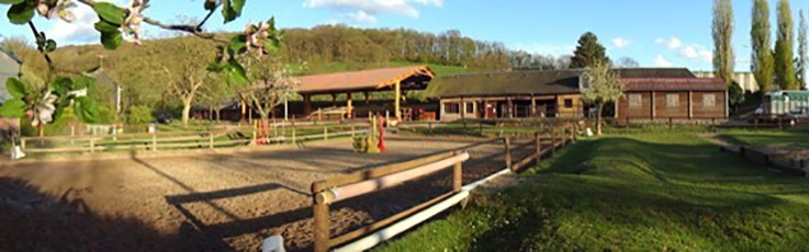 Poney Nature